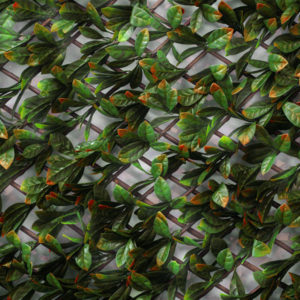 treillis extensible imitation feuilles de photinia