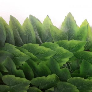 treillis extensible feuilles de rosier zoom